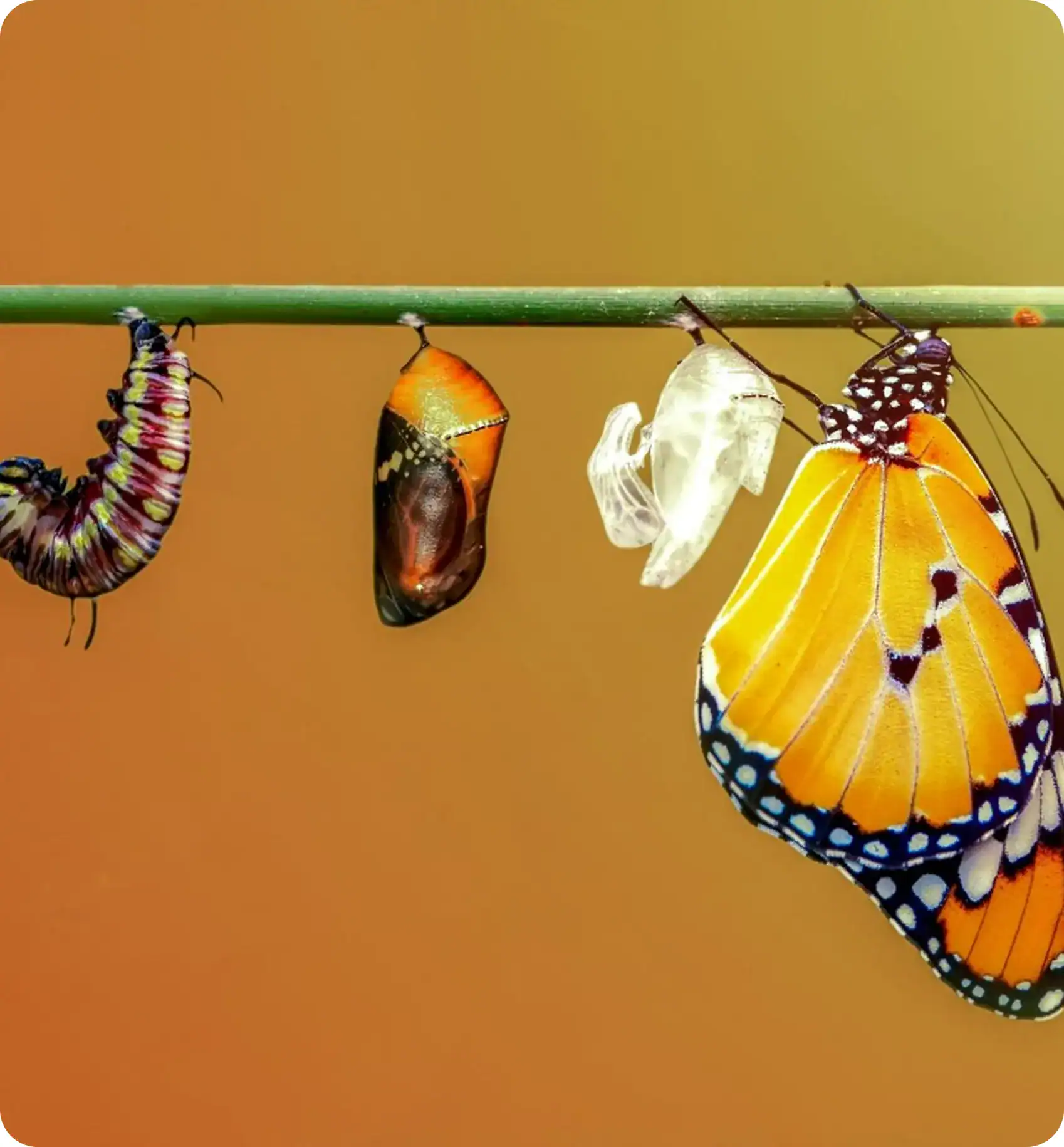 Zeit der Veränderung