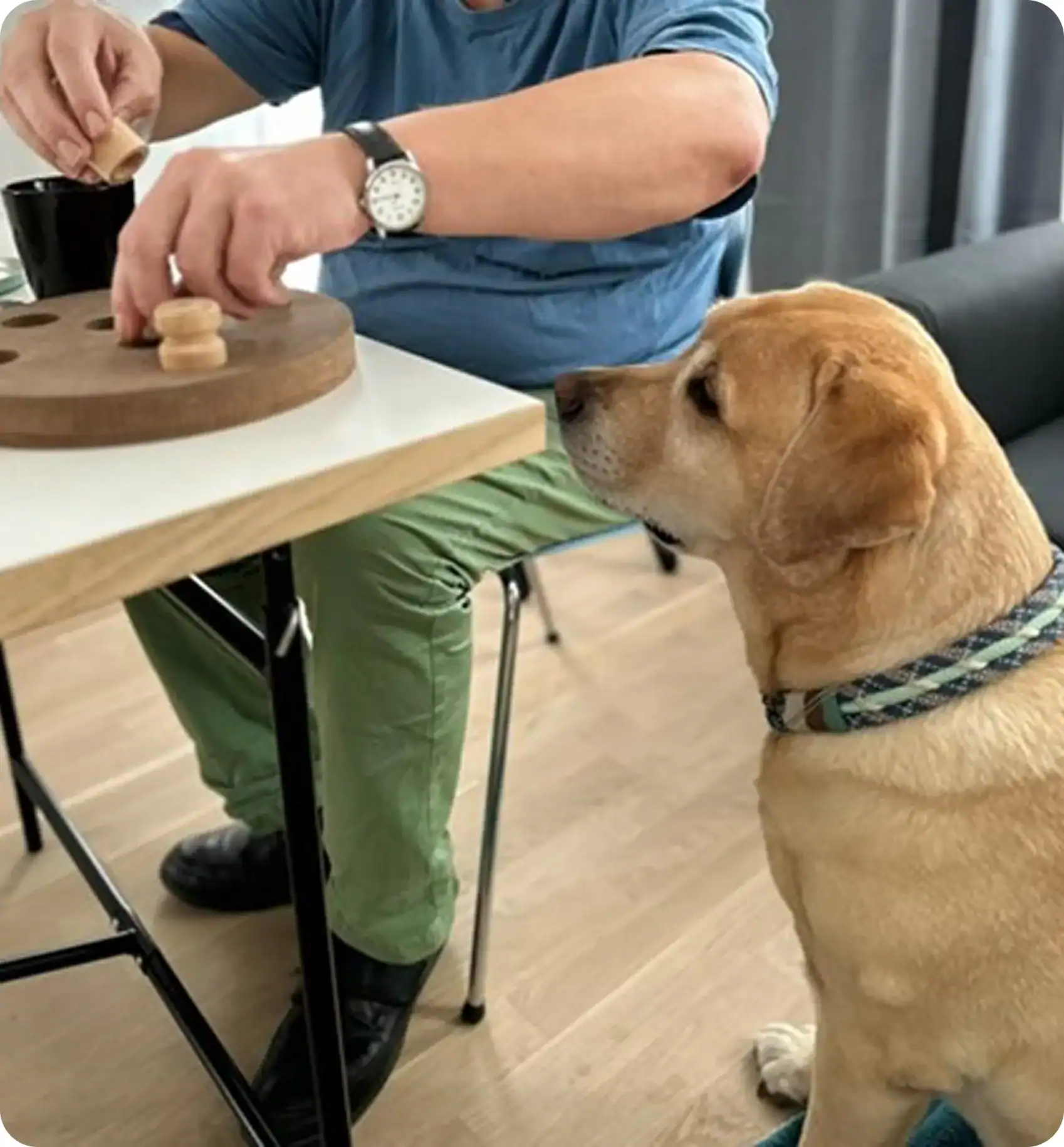 Beratungs- und  Therapieangebot